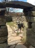 A statue of Gelert, at Beddgelert, N.Wales.